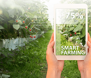 digital-farming